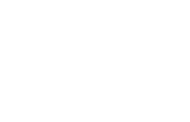 WeissNur Logo